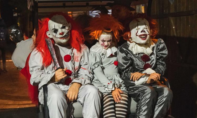 Halloween - 3rd OCTOBER to 11st NOVEMBER 2025 Magic Robin Hood Holiday Park Alfaz del Pi Halloween - 3rd OCTOBER to 11st NOVEMBER 2025 Magic Robin Hood Holiday Park Alfaz del Pi